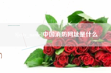 雅安中国消防网址是什么