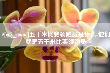 雅安五千米比赛领跑员是什么-他们就是五千米比赛领跑员