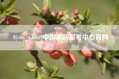 雅安中国消防报考中心官网