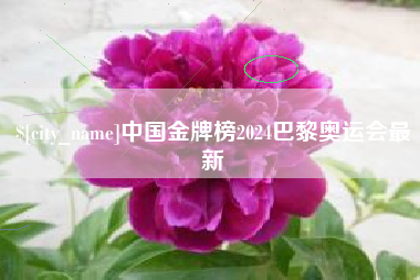 雅安中国金牌榜2024巴黎奥运会最新