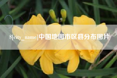 雅安中国地图市区县分布图片