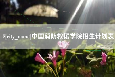 雅安中国消防救援学院招生计划表