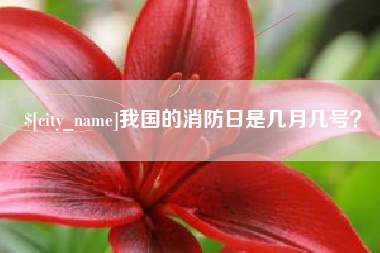雅安我国的消防日是几月几号？