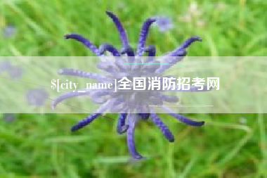 雅安全国消防招考网