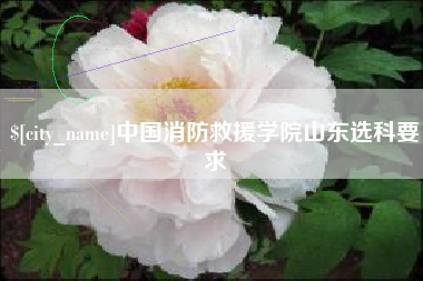 雅安中国消防救援学院山东选科要求