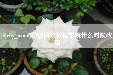 雅安中国消防救援学院什么时候政审