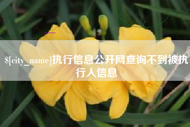 雅安执行信息公开网查询不到被执行人信息