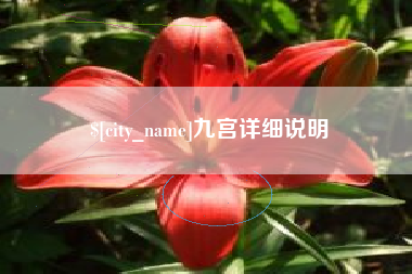 雅安九宫详细说明