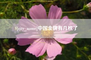 雅安中国金牌有几枚了