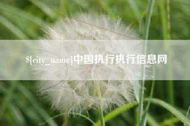 雅安中国执行执行信息网