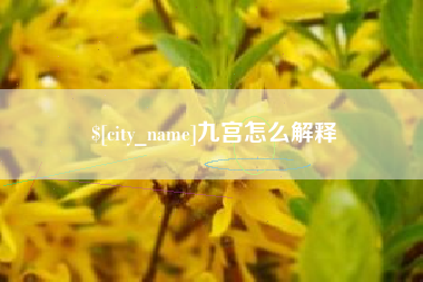 雅安九宫怎么解释