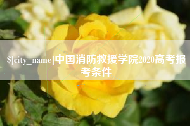 雅安中国消防救援学院2020高考报考条件