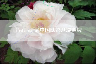 雅安中国队第八块金牌