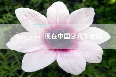 雅安现在中国哪几个金牌