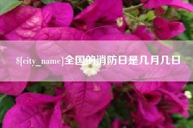 雅安全国的消防日是几月几日