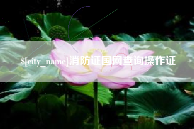雅安消防证国网查询操作证