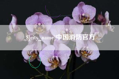 雅安中国消防官方