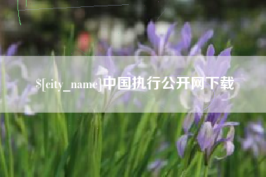 雅安中国执行公开网下载