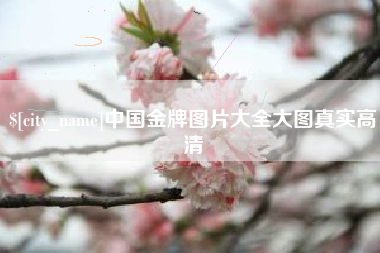 雅安中国金牌图片大全大图真实高清
