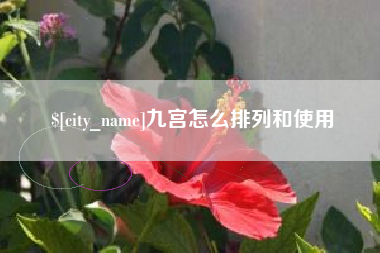雅安九宫怎么排列和使用
