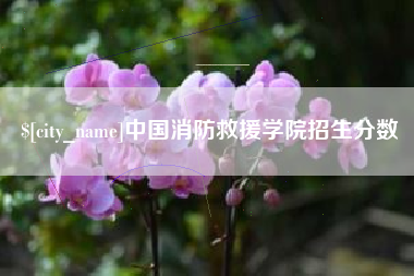 雅安中国消防救援学院招生分数