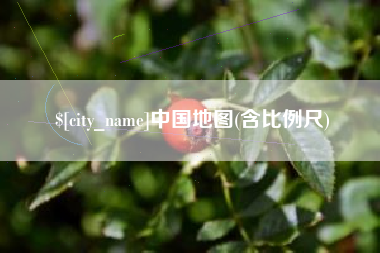 雅安中国地图(含比例尺)