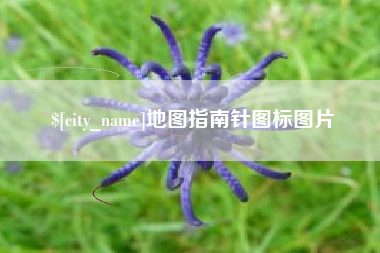 雅安地图指南针图标图片