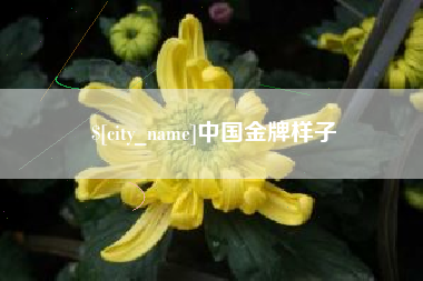 雅安中国金牌样子