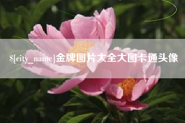 雅安金牌图片大全大图卡通头像