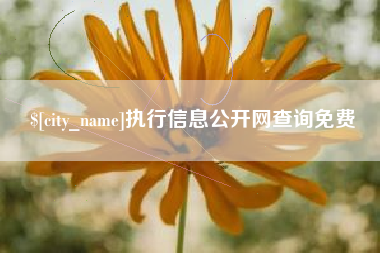 雅安执行信息公开网查询免费