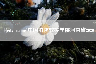 雅安中国消防救援学院河南省2020