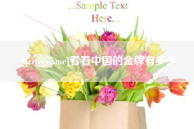 雅安看看中国的金牌有多少